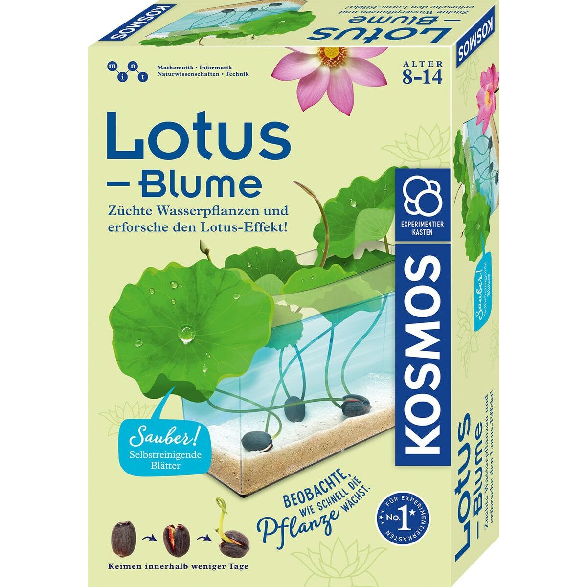 KOSMOS Lotusblume