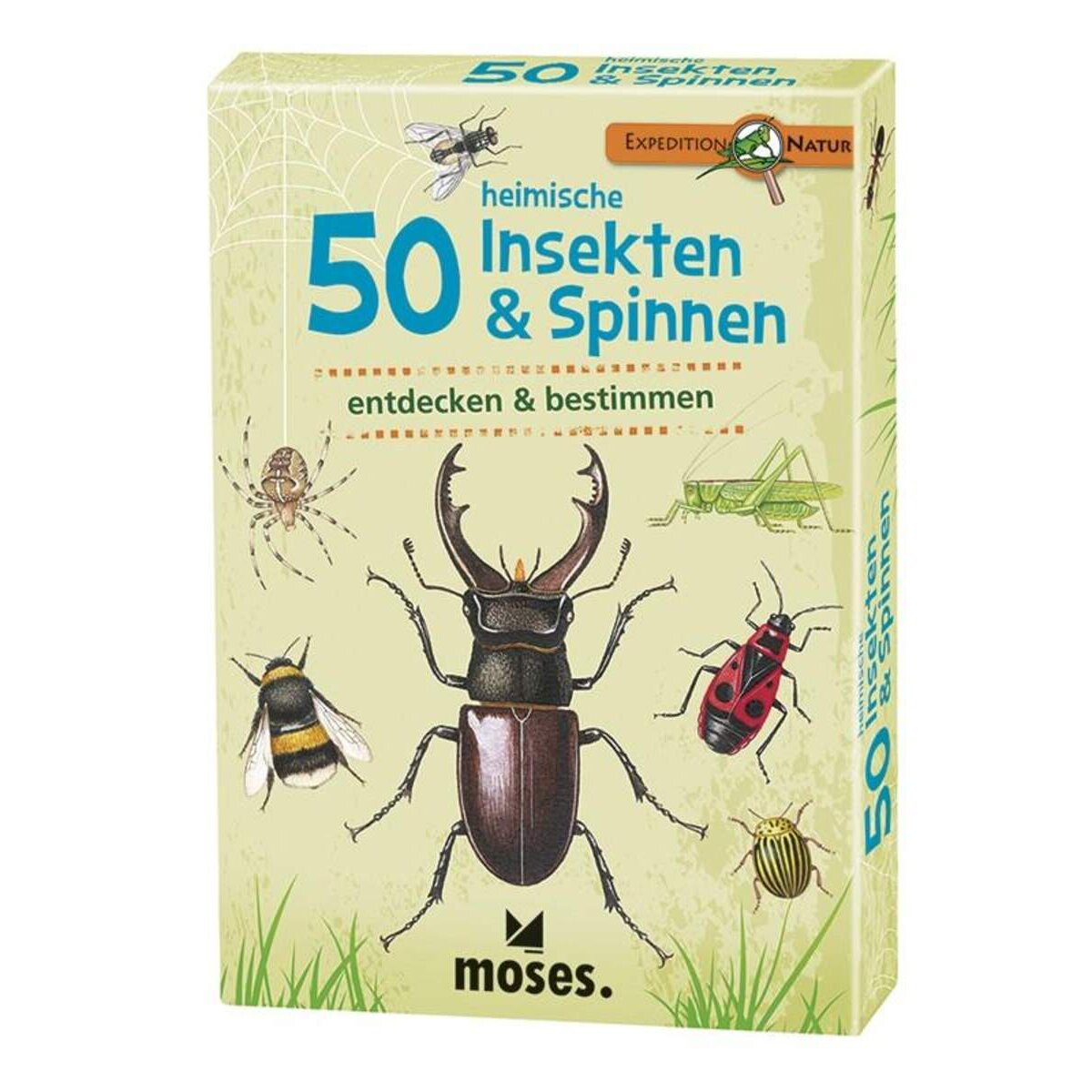 moses. Expedition Natur 50 heimische Insekten & Spinnen