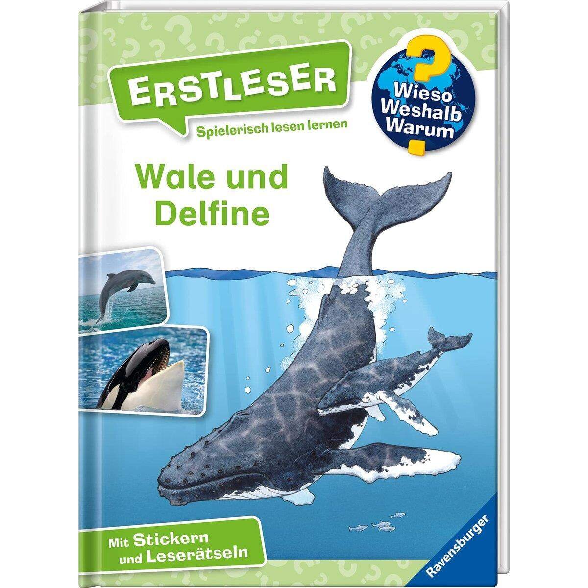 Ravensburger Wieso? Weshalb? Warum? Erstleser: Band 3 – Wale und Delfine